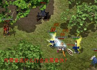 ������ѡʲô�лᷢչ��죿