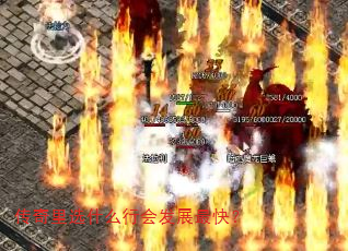 ������ѡʲô�лᷢչ��죿