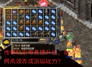 ������Ҵ�Ӣ����������θ�Ч���ɶ���ս����