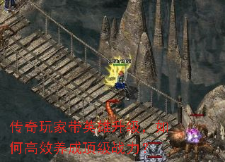 ������Ҵ�Ӣ����������θ�Ч���ɶ���ս����