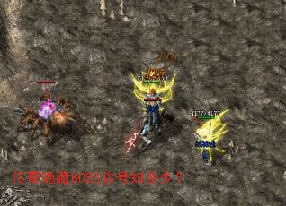 ��������BOSS�ƺ�֪���٣�