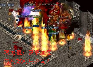 ����ֵ����ȡ;�����Ч����ָ�ϣ�