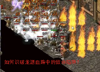 ���ʶ����ԴѪ·�е��������壿