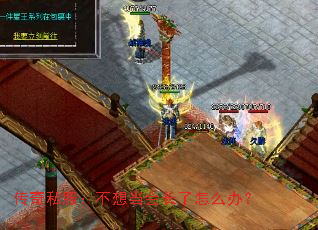 ����˽�������뵱�᳤����ô�죿