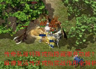 ����˽�������ָ������Щ���ܣ���Ը���ͽ�ָʵս����ȫ����