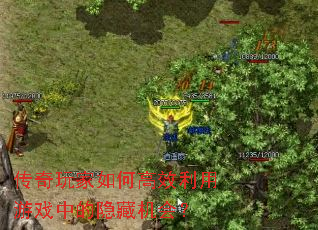 ���������θ�Ч������Ϸ�е����ػ��᣿