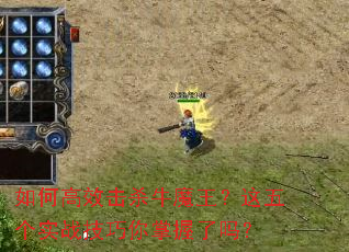 ��θ�Ч��ɱţħ���������ʵս��������������
