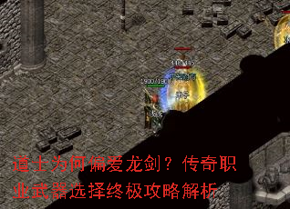 ��ʿΪ��ƫ������������ְҵ����ѡ���ռ����Խ���