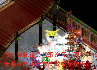 ŭ��ǿ�����߻�ȡ;������Щ��������Ϸ���ַ�����Ч�ռ����ɣ�