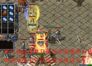 ŭ��ǿ�����߻�ȡ;������Щ��������Ϸ���ַ�����Ч�ռ����ɣ�