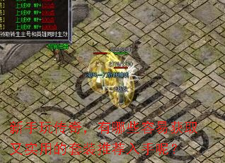 �����洫�棬����Щ���׻�ȡ��ʵ�õ���װ�Ƽ������أ�