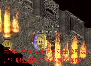 ����ڴ���˽���и�Ч���ܶ����ʬ��ְҵ������ս��������⣿