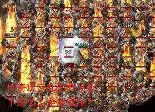 �������8L�����������ɱ�Ϊȫ��������