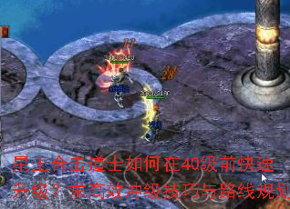 �����ϻ���ʿ�����40��ǰ�������������Ч�弶������·�߹滮