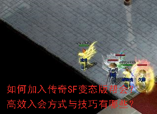 ��μ��봫��SF��̬���᣿��Ч��᷽ʽ�뼼������Щ��