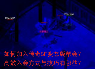 ��μ��봫��SF��̬���᣿��Ч��᷽ʽ�뼼������Щ��