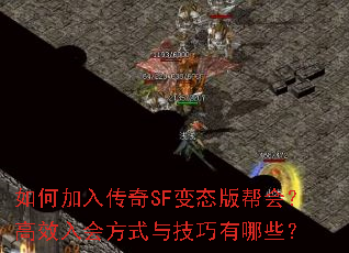 ��μ��봫��SF��̬���᣿��Ч��᷽ʽ�뼼������Щ��