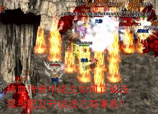 ��Ѫ���������������ȷѡ����估������������Щ��