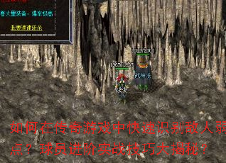 ����ڴ�����Ϸ�п���ʶ��������㣿��Ա����ʵս���ɴ���أ�