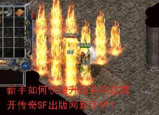 ������ο�����������Ч�뿪����SF���������ִ壿