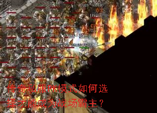 ����˽��PKģʽ���ѡ����ܳ�Ϊս��������