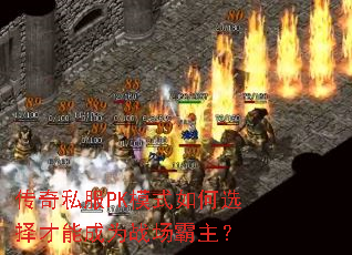 ����˽��PKģʽ���ѡ����ܳ�Ϊս��������