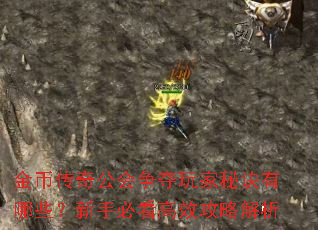 ��Ҵ��湫����������ؾ�����Щ�����ֱؿ���Ч���Խ���