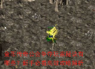 ��Ҵ��湫����������ؾ�����Щ�����ֱؿ���Ч���Խ���