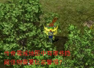 ����ѩ���ͼ������Щ���ع�����Ҫ��Ҿ��裿