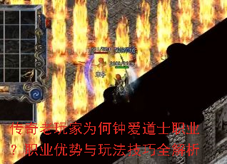 ���������Ϊ���Ӱ���ʿְҵ��ְҵ�������淨����ȫ����