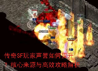 ����SF����������������������Դ���Ч���Խ���