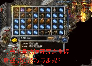 ����С�ſ��ٿ�����������Щ���ļ����벽�裿