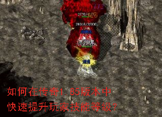 ����ڴ���1.85�汾�п���������Ҽ��ܵȼ���