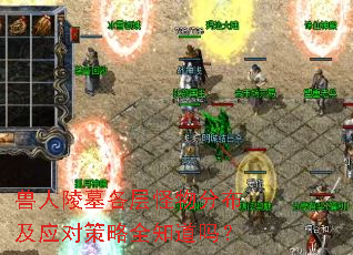 ������Ĺ�������ֲ���Ӧ�Բ���ȫ֪����