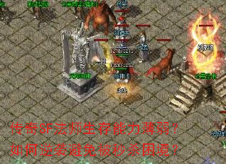 ����SF��ʦ�������������������Ϯ���ⱻ��ɱ������