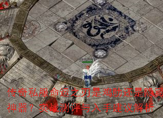 ����˽������֮���Ǽ��߻�������������ʵս���������ֽ������