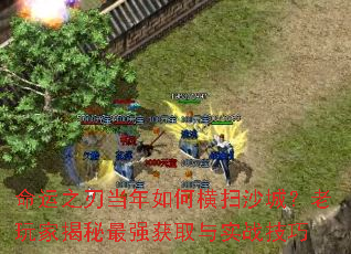 ����֮�е�����κ�ɨɳ�ǣ�����ҽ�����ǿ��ȡ��ʵս����
