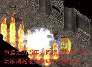 ����֮�е�����κ�ɨɳ�ǣ�����ҽ�����ǿ��ȡ��ʵս����