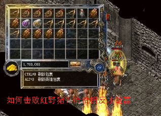 ��λ��ܺ�Ұ����ǡǡ�෴����Ӯ