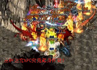 �����Թ�NPC���������δ���