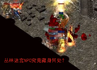�����Թ�NPC���������δ���