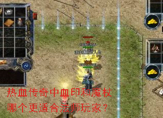 ��Ѫ������Ѫӡ��ħ���ĸ����ʺϷ�ʦ��ң�