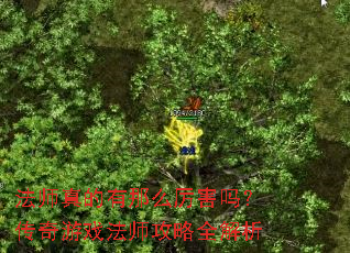 ��ʦ�������ô�����𣿴�����Ϸ��ʦ����ȫ����