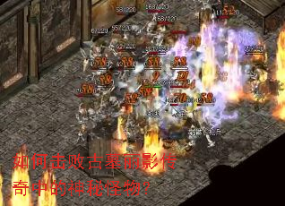 ��λ��ܹ�Ĺ��Ӱ�����е����ع��