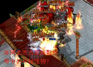 ��λ��ܹ�Ĺ��Ӱ�����е����ع��
