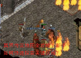 ڤ�紫˵��ͼȫ���ԣ�������ο���̽���ؼ�����