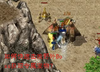 ��ο��ٻ���Ұ��Boss��ȡר�����