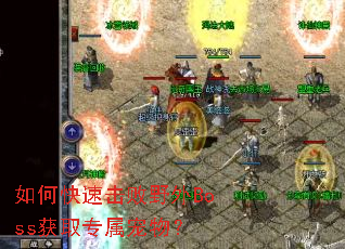 ��ο��ٻ���Ұ��Boss��ȡר�����