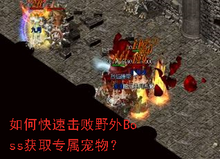 ��ο��ٻ���Ұ��Boss��ȡר�����
