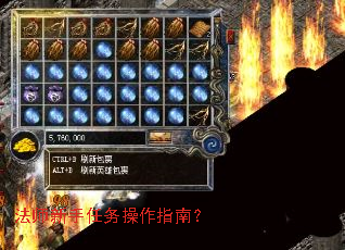 ��ʦ�����������ָ�ϣ�